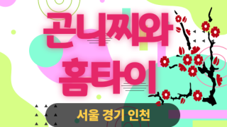 ✨곤니찌와홈타이✨성동구 출장 마사지 성동홈타이 성동출장스웨디시 24시 안마 -마사지맛집