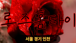 ✨로즈홈타이✨서초 출장 마사지 서초홈타이 서초출장스웨디시 24시 안마 -마사지맛집