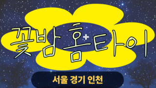 ✨꽃밤홈타이✨서초 출장 마사지 서초홈타이 서초출장스웨디시 24시 안마 -마사지맛집