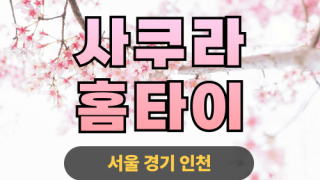 ✨사쿠라홈타이✨송파 출장 마사지 송파홈타이 송파출장스웨디시 24시 안마 -마사지맛집
