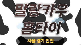 ✨말랑카우홈타이✨서대문 출장 마사지 서대문홈타이 서대문구출장스웨디시 24시 안마 -마사지맛집