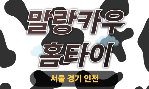 ✨말랑카우홈타이✨과천 출장 마사지 과천홈타이 과천출장스웨디시 24시 안마